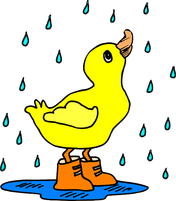 Conoce el agua